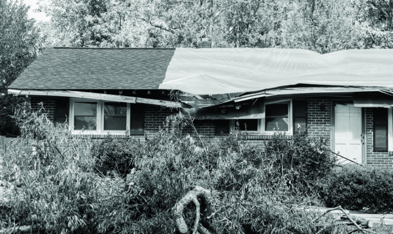 Collaborating with Robert Feest & Associates Insurance Agency Allows long-term support for home and business owners 